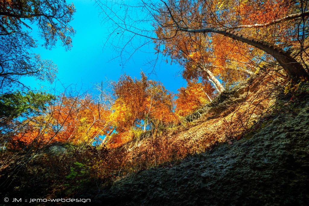 Landschaftsfotografie Herbsteindruck