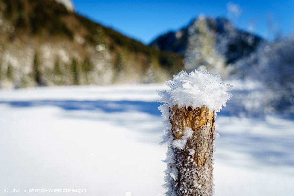 Landschaftsfotografie Winterlandschaft Eisblume
